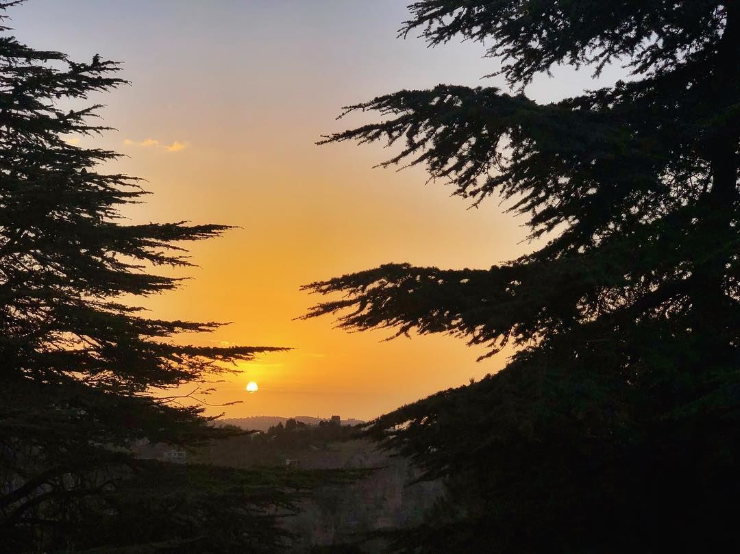 Do not pour your sunshine into someone who does not think of you as their... (Bcharreh, Liban-Nord, Lebanon)