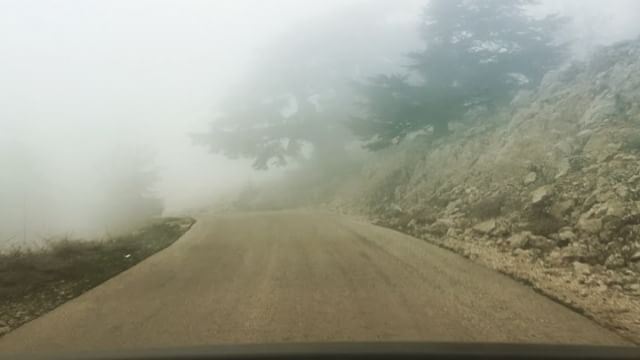 300 meters of altitude in 30 seconds. Going down from Chouf Cedar Forest-- (Barouk Cedar Forest)
