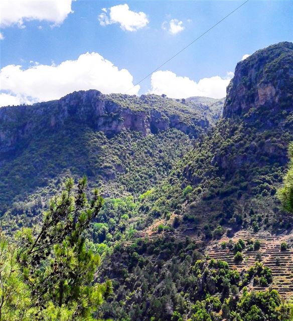 50 Shades of green ⛰🍃 ..... adventure explore liveoutdoors... (Wadi Qannubin, Liban-Nord, Lebanon)