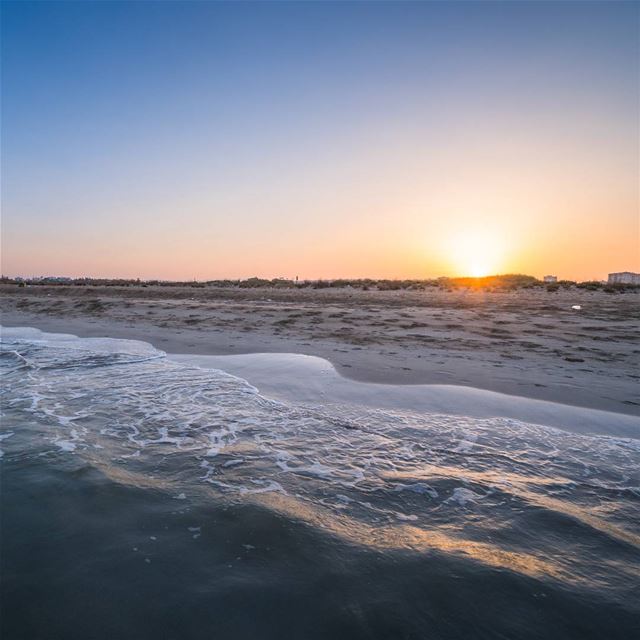 6am in Sour  lebanon  vsco ... (Tyre Coast Nature Reserve - محمية شاطئ صور الطبيعية)