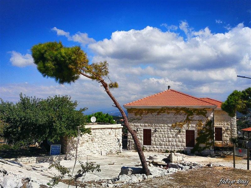 ______________________________________ morning thursday lebanonhouses... (Smar Jubayl, Liban-Nord, Lebanon)