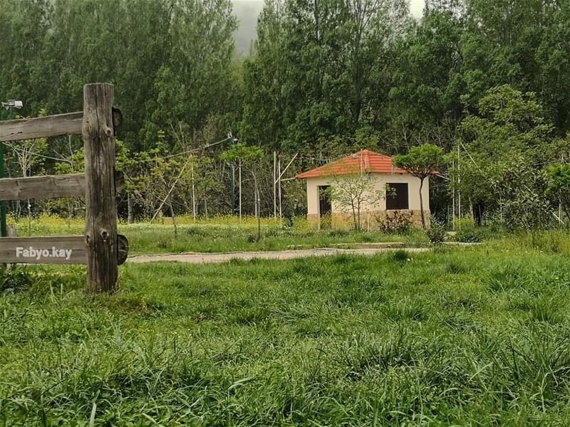 __________________________________________ libanon nature chbanieh House... (Chbânîyé, Mont-Liban, Lebanon)