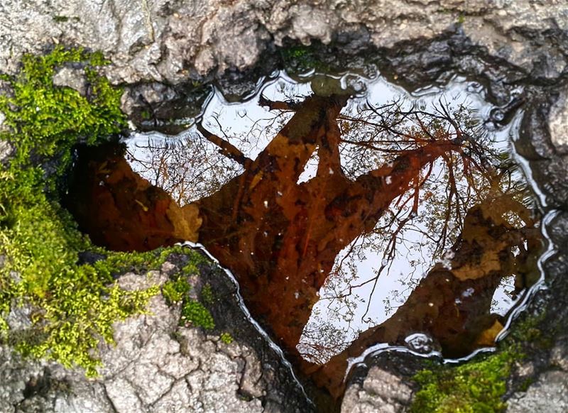 A beautiful hole in a tree  Jabal moussa  hiking  livelovelebanon ...