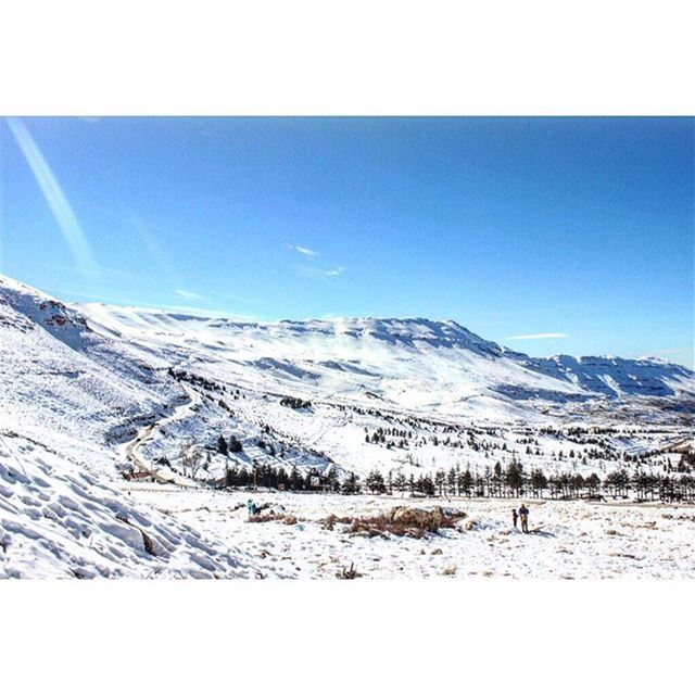 A beautiful view 💙❄️☀️  lebanon  lebanontimes  snow  cedars  cedarsofgod ... (Cedars of God)