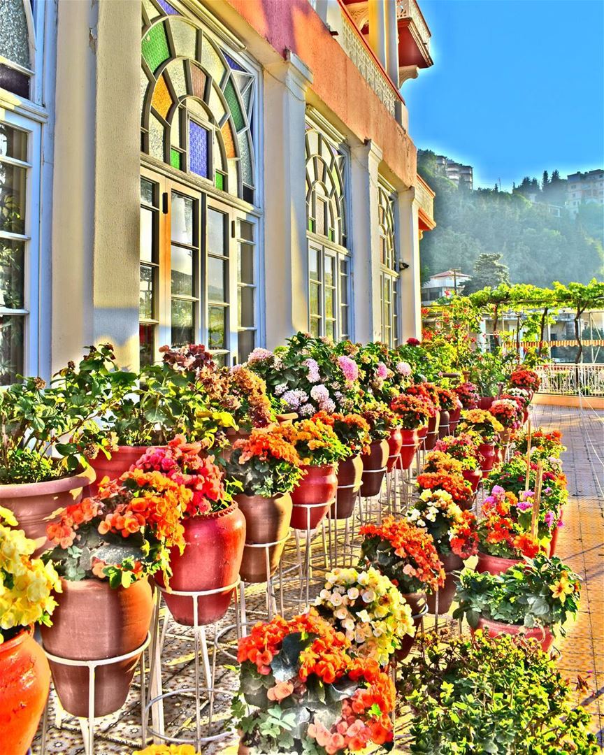 A colorful morning from Syr 💚💚💚 | Join me on Facebook for more pictures... (Syr Palace Hotel)