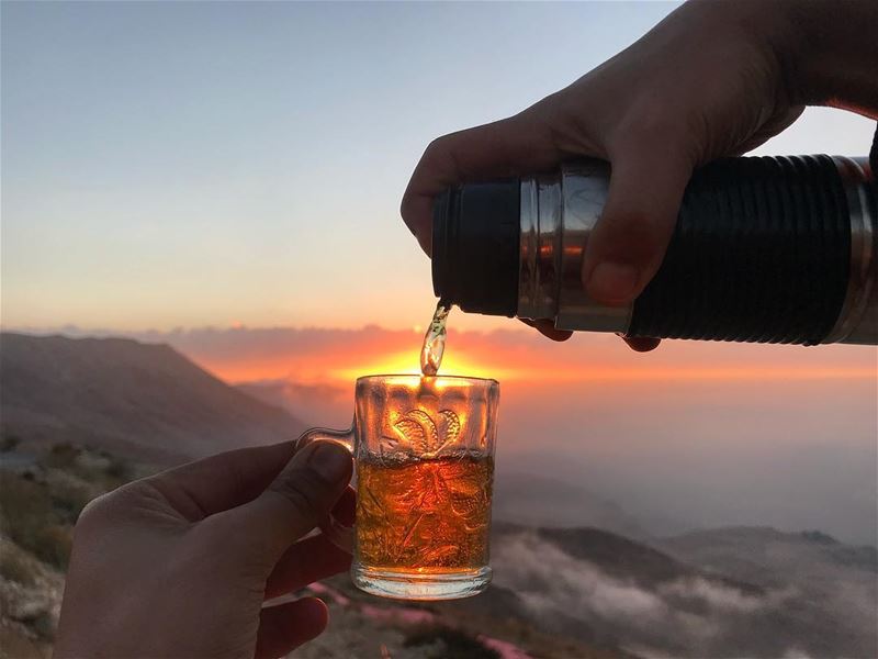 A cup of tea at 2400m...  teacup  cedars ... (Bcharré, Liban-Nord, Lebanon)