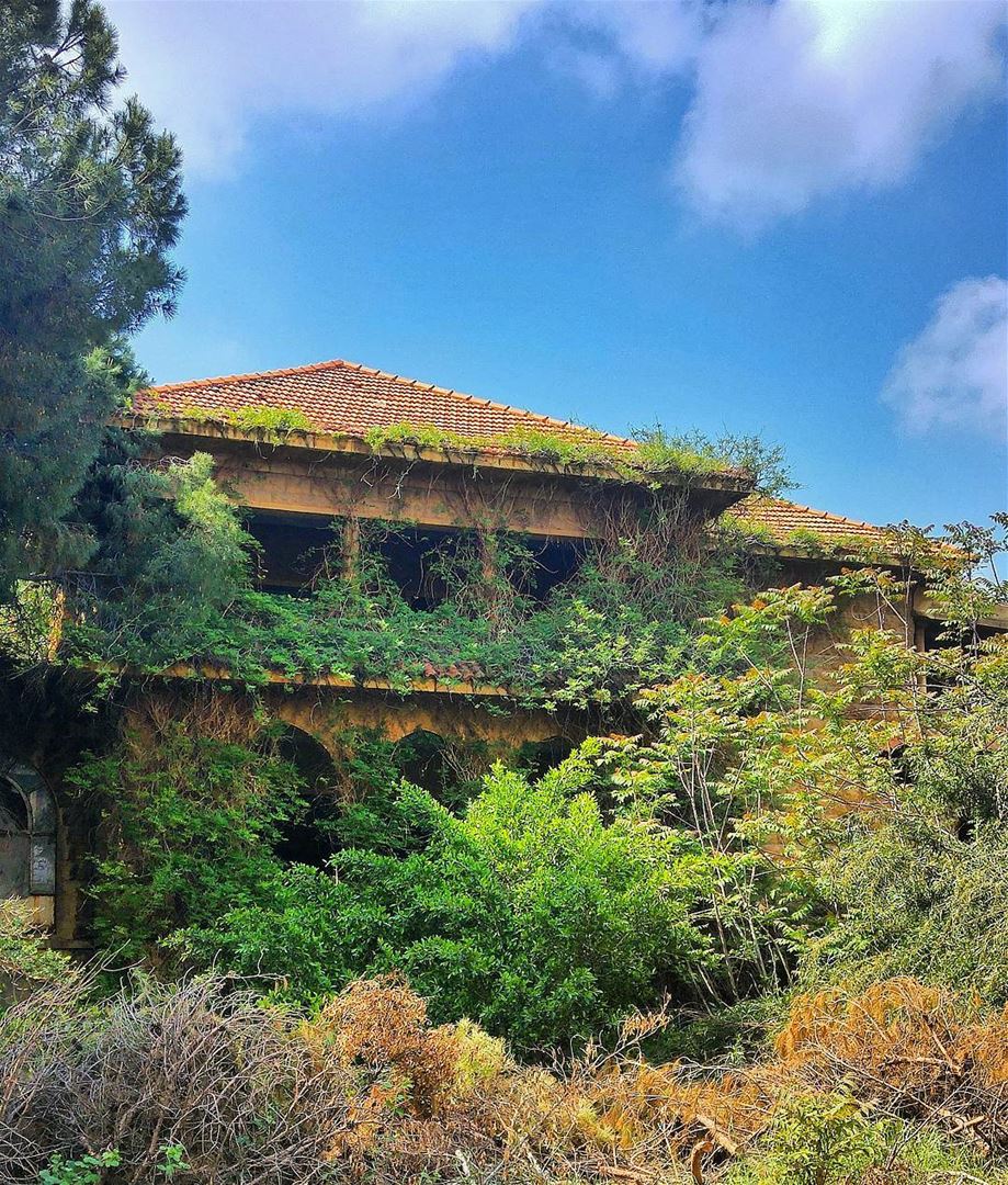 A Deserted House 😍 lebanon  nature  naturelovers  natureporn  landscape ... (Horch Tabet)