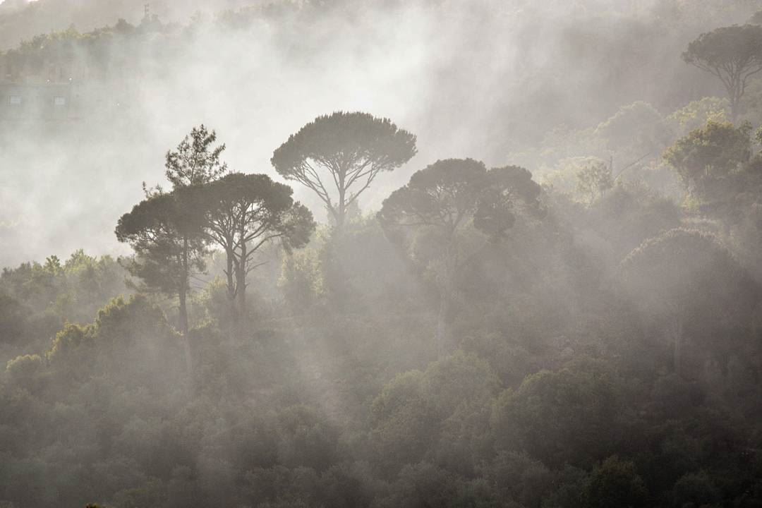 .A foggy morning | Remhala, Lebanon. Evening dear IGers and have a great... (Horch Remhâla)