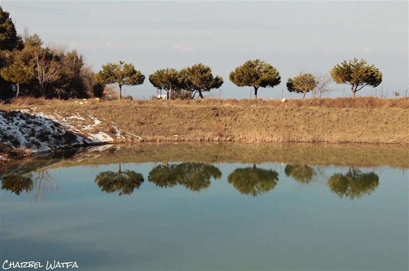 A grateful heart is a magnet for miracles...  travel  travellife  ... (Annâya, Mont-Liban, Lebanon)