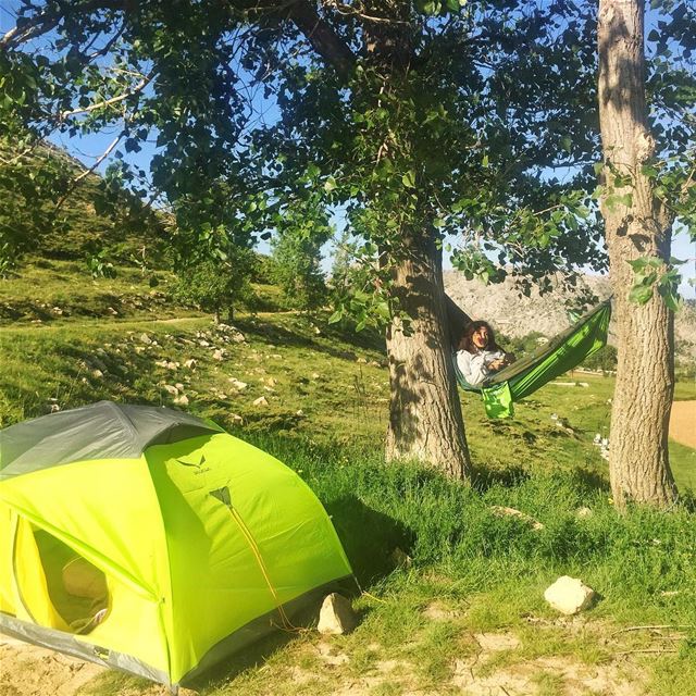 A hammock and a tent is all you...