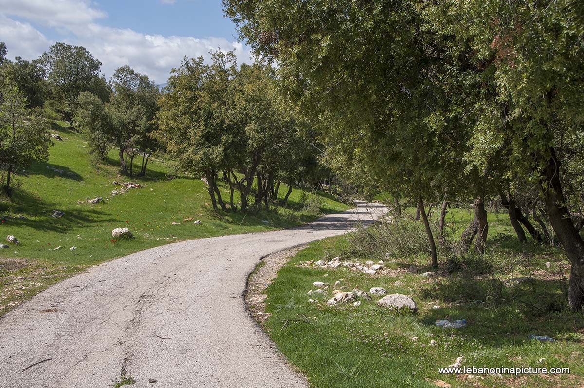 A Hike in kfarmishki Bekaa with Promax (kfarmishki, Bekaa)