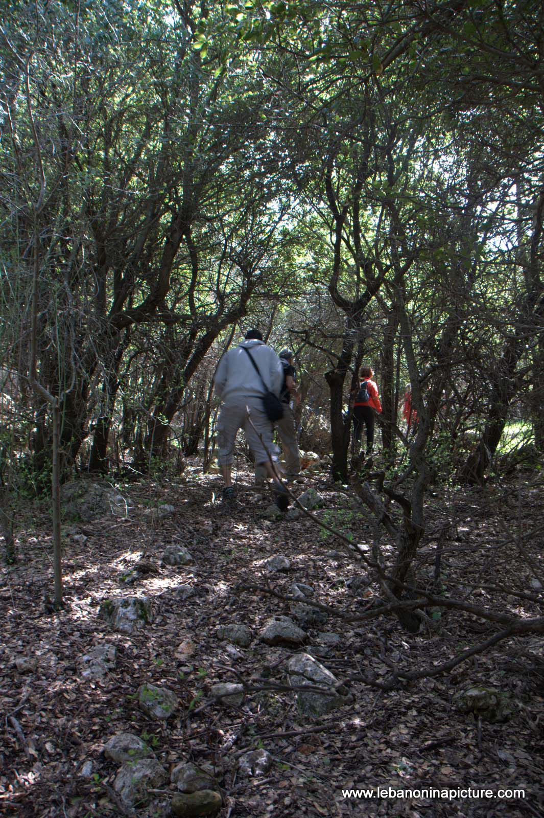 A Hike in kfarmishki Bekaa with Promax (kfarmishki, Bekaa)