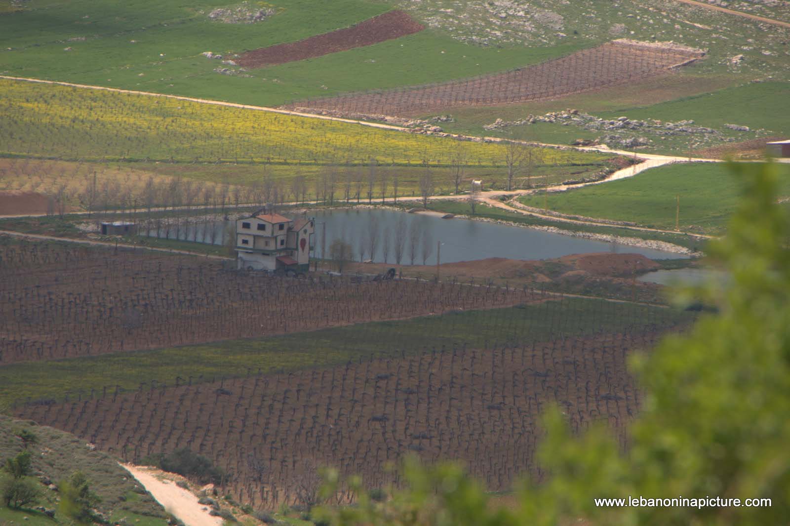 A Hike in kfarmishki Bekaa with Promax (kfarmishki, Bekaa)