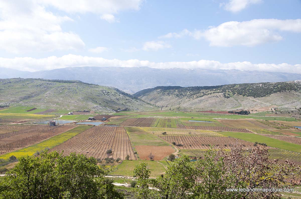 A Hike in kfarmishki Bekaa with Promax (kfarmishki, Bekaa)