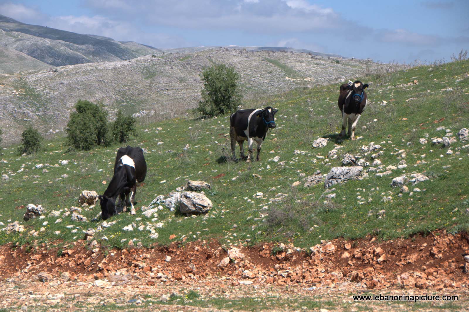 A Hike in kfarmishki Bekaa with Promax (kfarmishki, Bekaa)