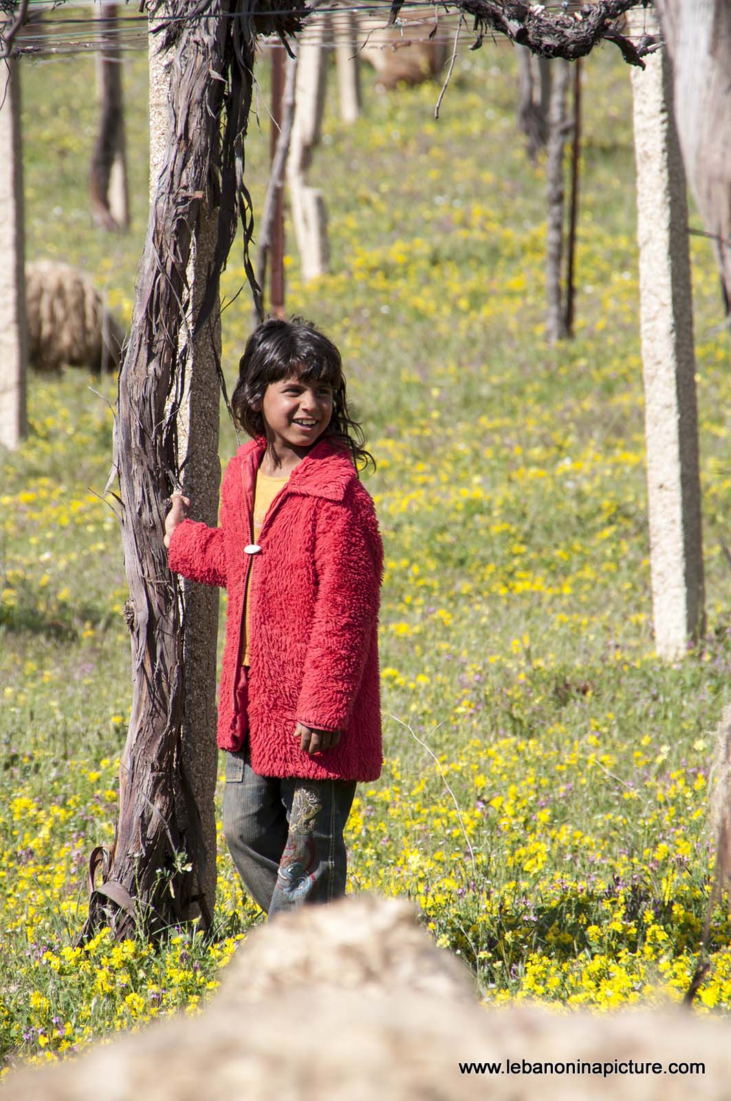 A Hike in kfarmishki Bekaa with Promax (kfarmishki, Bekaa)