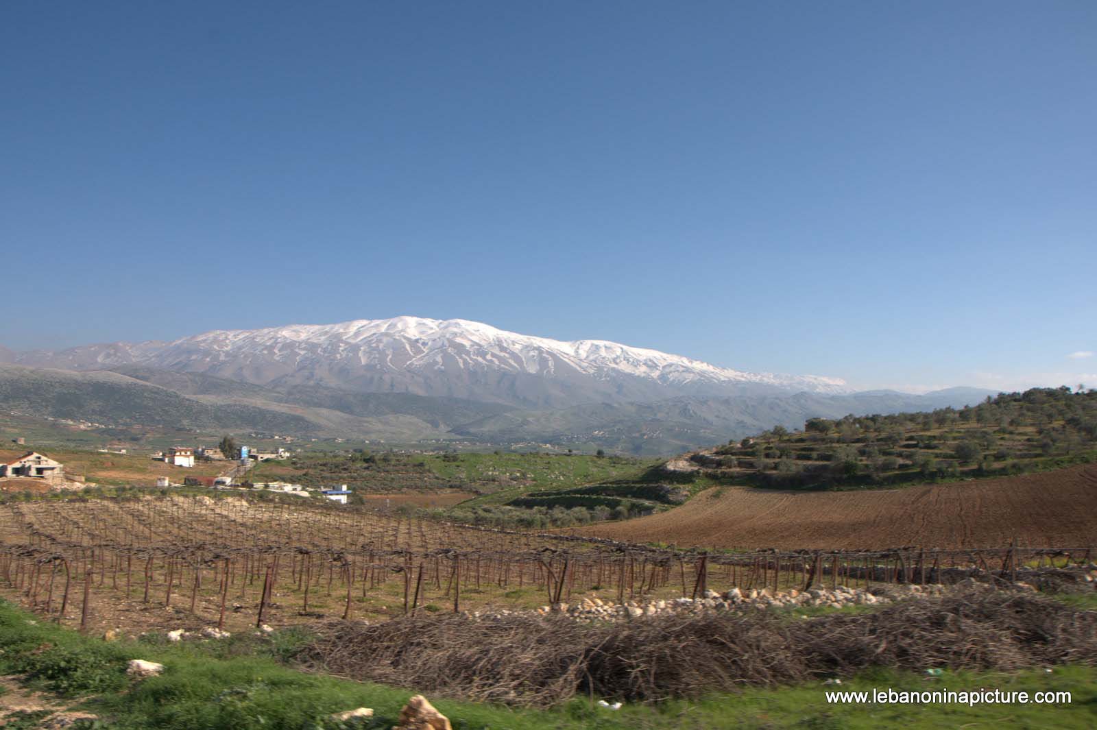 A Hike in kfarmishki Bekaa with Promax (kfarmishki, Bekaa)