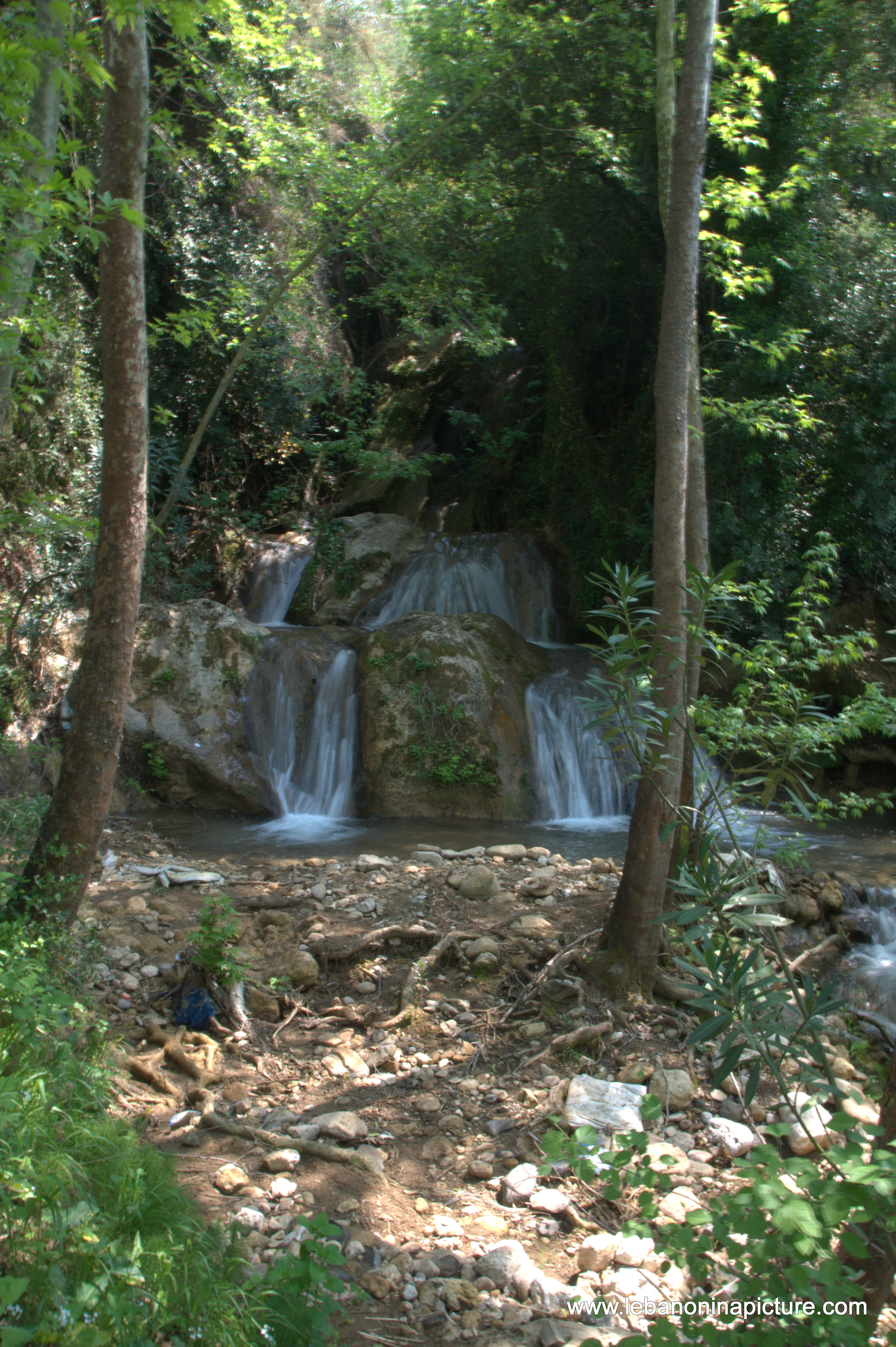 A Hiking in Rahbeh Akkar with Vamos Todos (Rahbeh, Akkar)