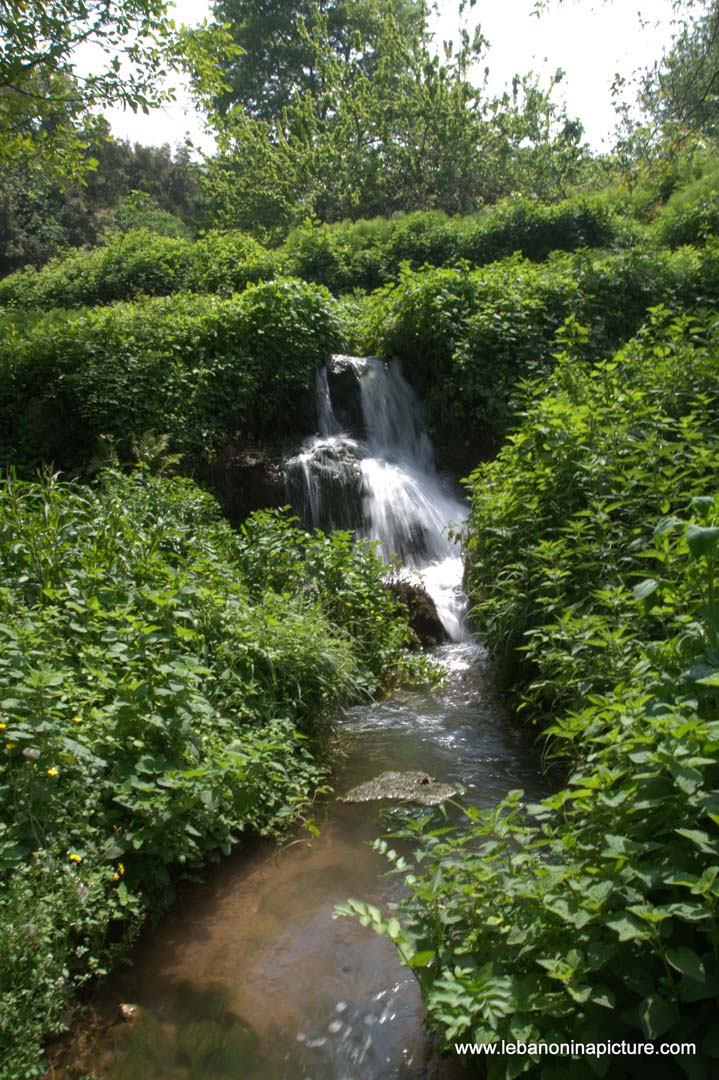 A Hiking in Rahbeh Akkar with Vamos Todos (Rahbeh, Akkar)