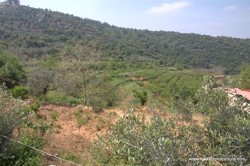 A Hiking in Rahbeh Akkar with Vamos Todos (Rahbeh, Akkar)