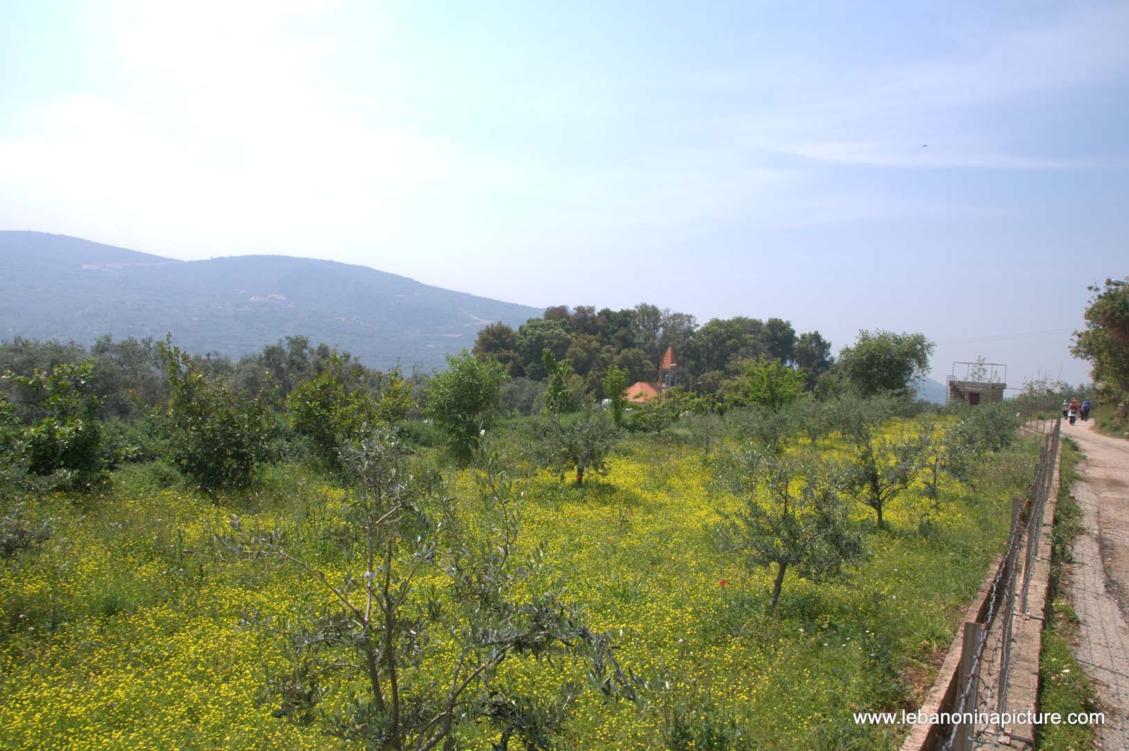 A Hiking in Rahbeh Akkar with Vamos Todos (Rahbeh, Akkar)