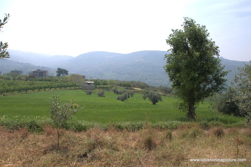 A Hiking in Rahbeh Akkar with Vamos Todos (Rahbeh, Akkar)