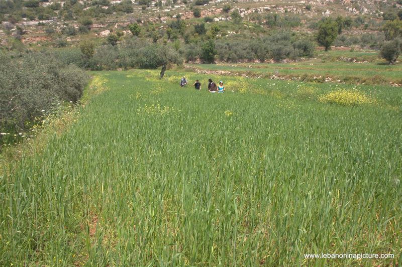 A Hiking in Rahbeh Akkar with Vamos Todos (Rahbeh, Akkar)