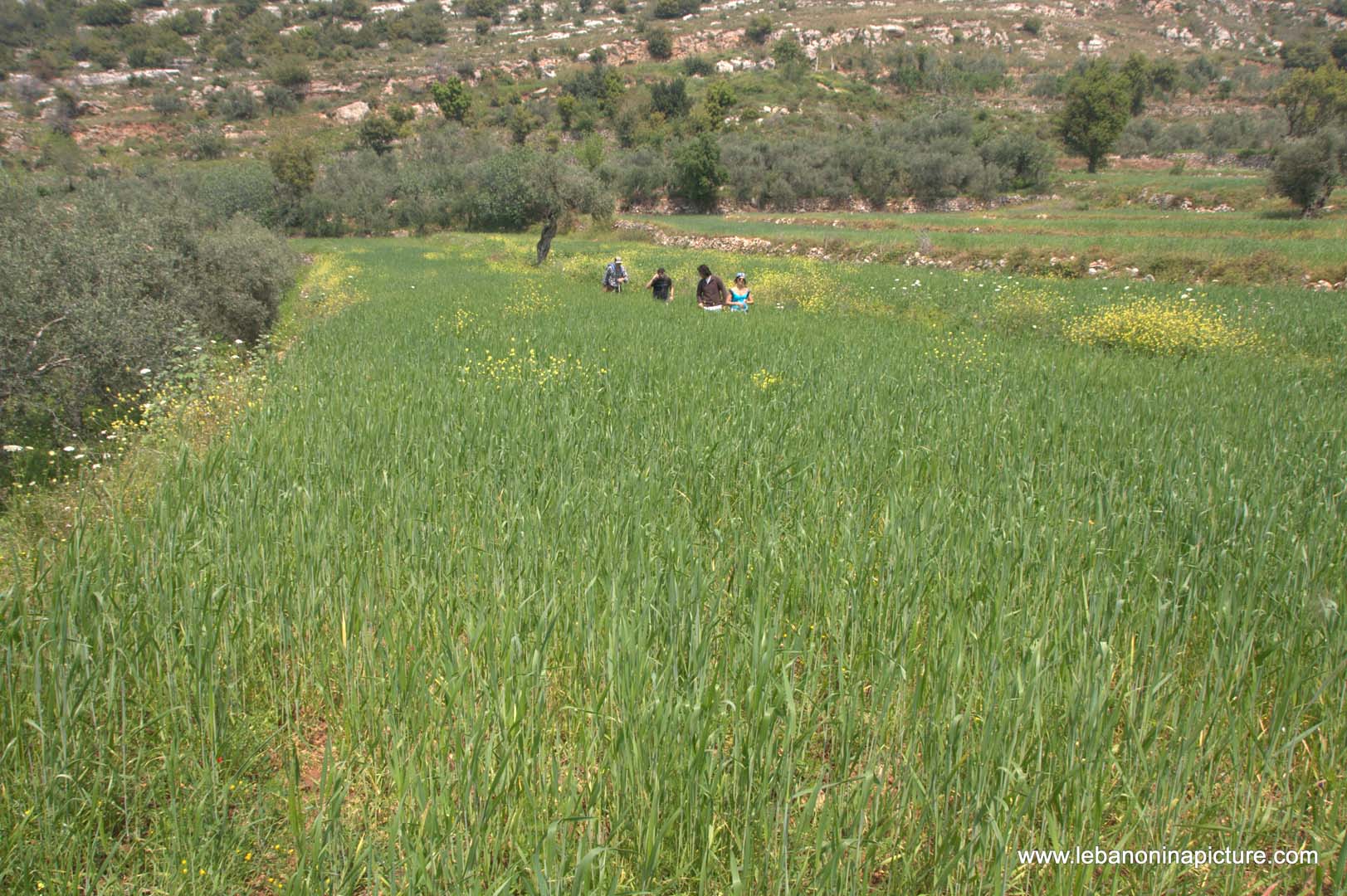 A Hiking in Rahbeh Akkar with Vamos Todos (Rahbeh, Akkar)