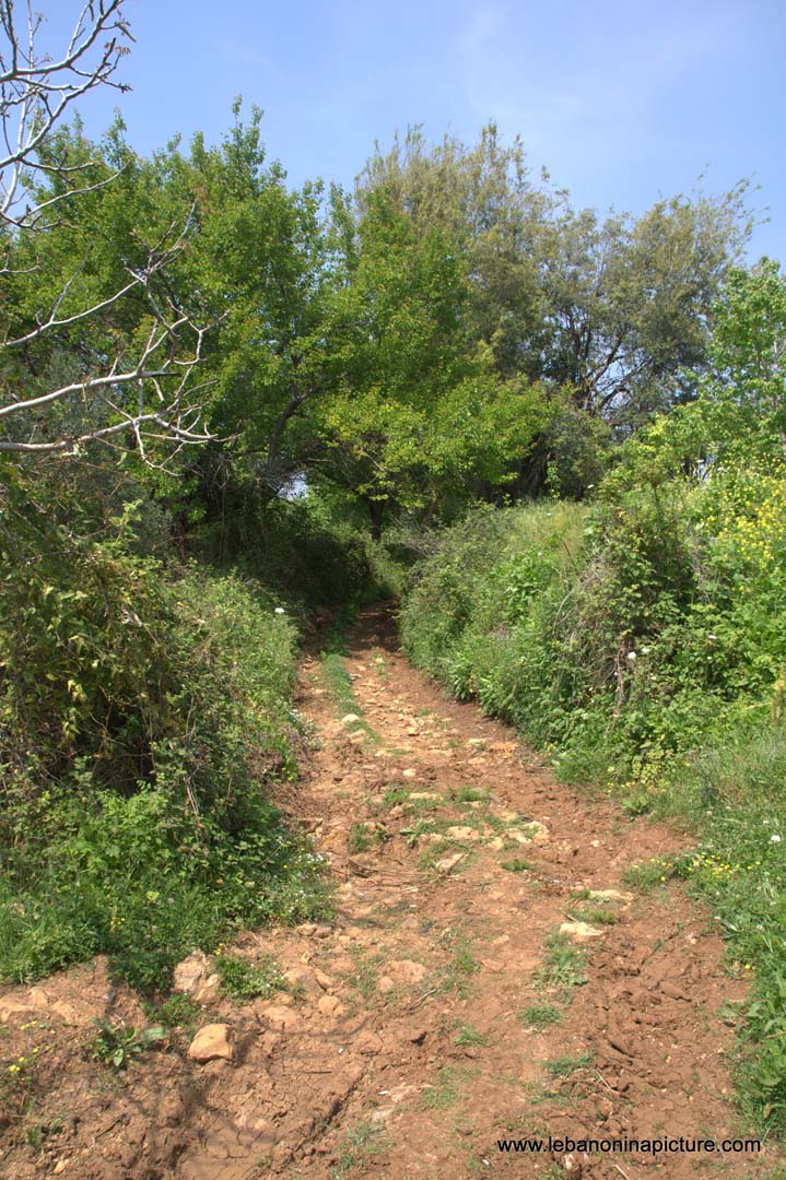 A Hiking in Rahbeh Akkar with Vamos Todos (Rahbeh, Akkar)