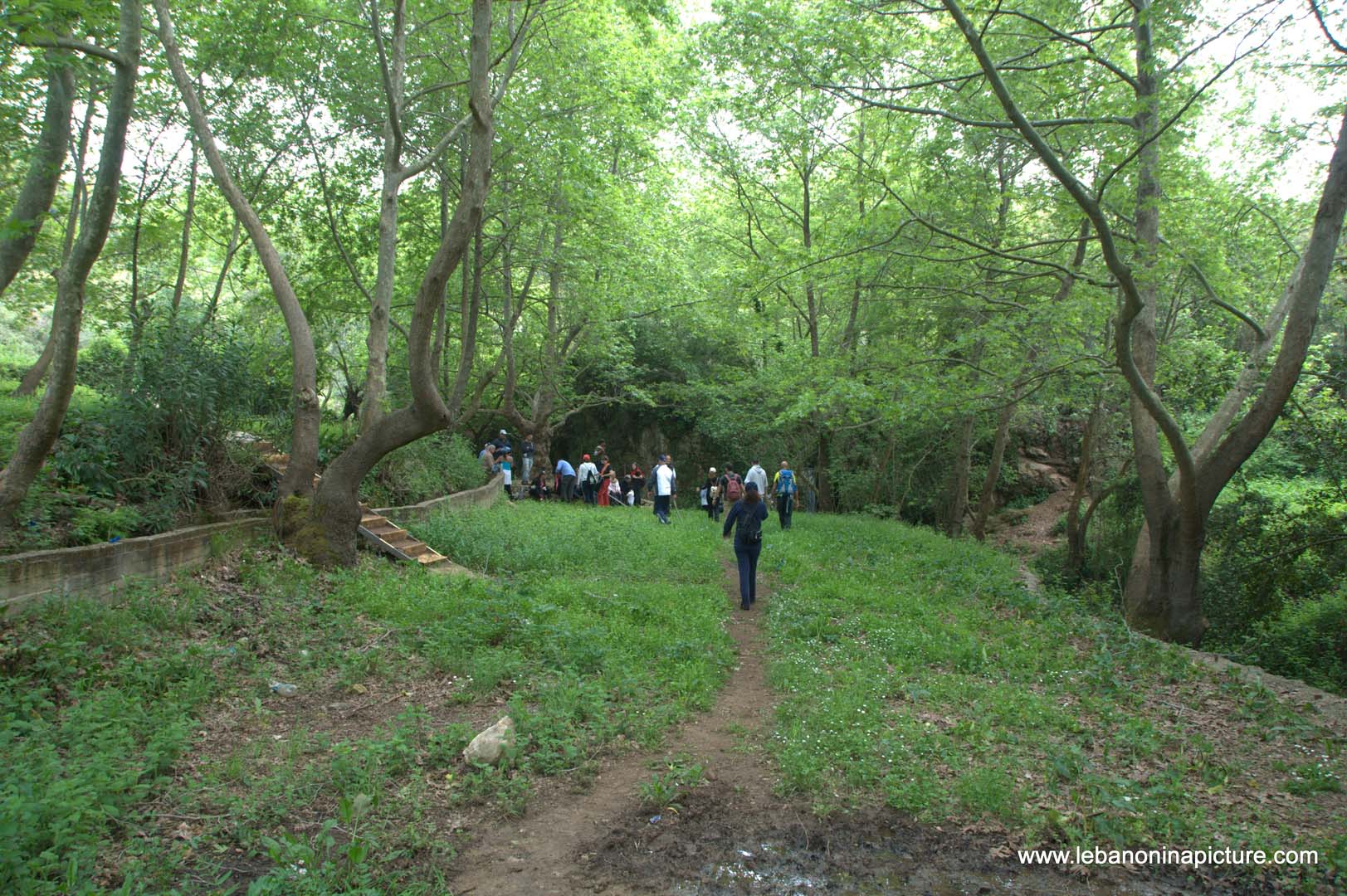 A Hiking in Rahbeh Akkar with Vamos Todos (Rahbeh, Akkar)