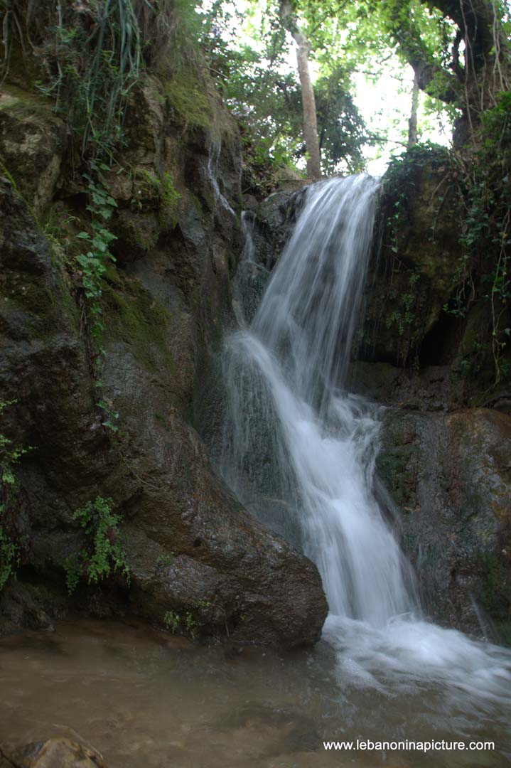 A Hiking in Rahbeh Akkar with Vamos Todos (Rahbeh, Akkar)