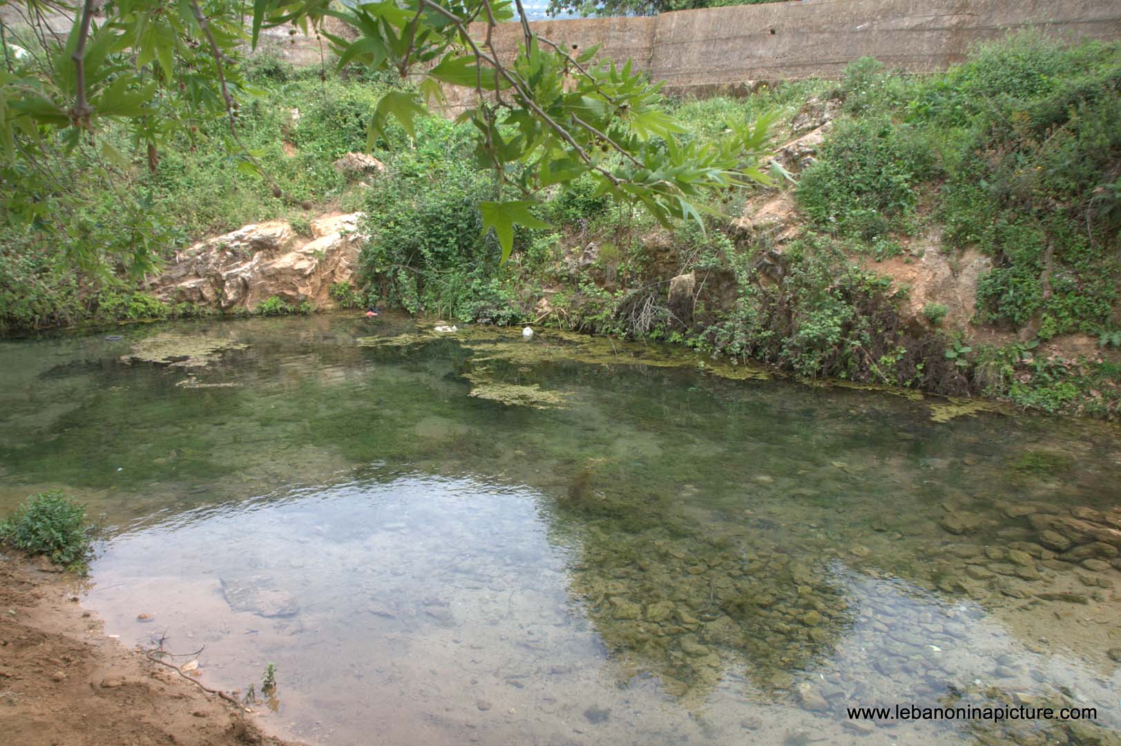 A Hiking in Rahbeh Akkar with Vamos Todos (Rahbeh, Akkar)