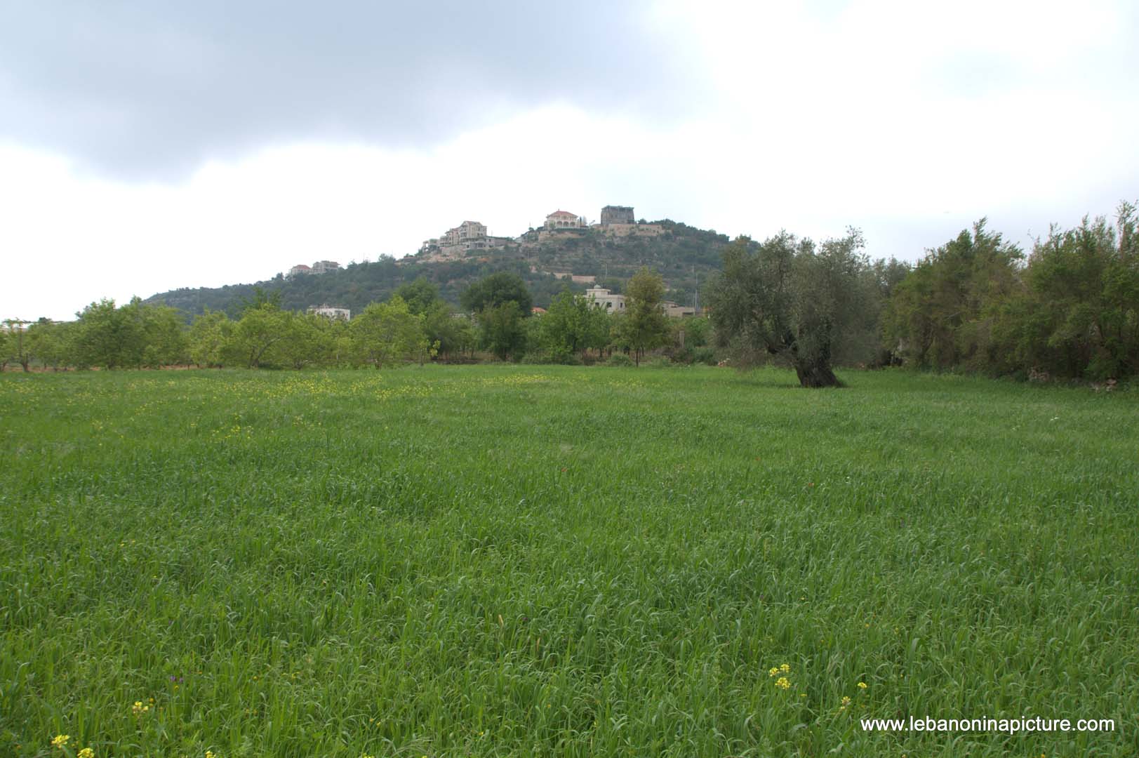 A Hiking in Rahbeh Akkar with Vamos Todos (Rahbeh, Akkar)