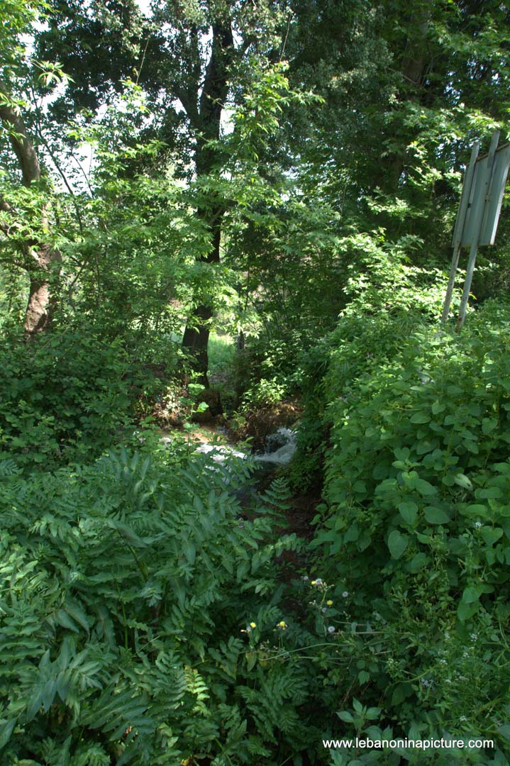 A Hiking in Rahbeh Akkar with Vamos Todos (Rahbeh, Akkar)