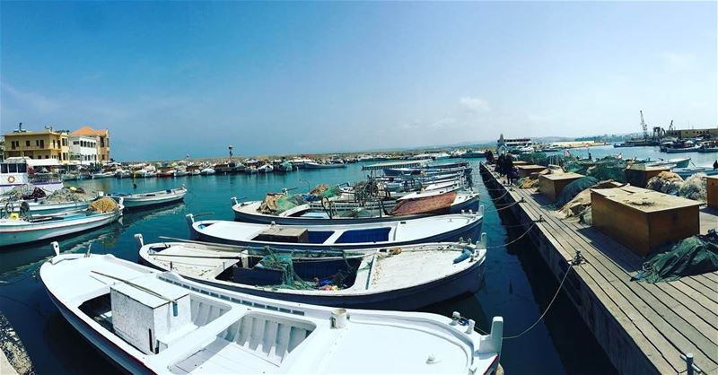 À la pêche aux moules moules moules je n'veux plus y aller maman🤷🏻‍♀️🎶 (Tyre Fishermen Port.)