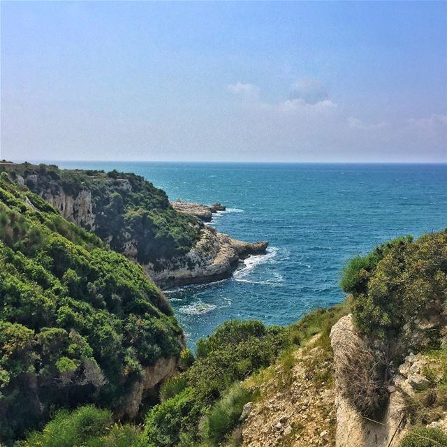 A little bit of green and a little bit of blue to get through the...