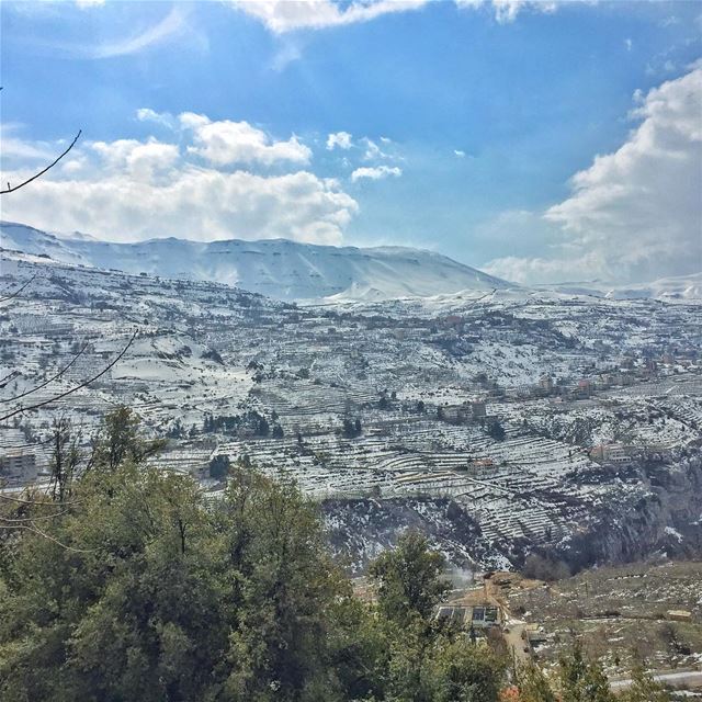 A little bit of sunshine in your... (Cedars of God)