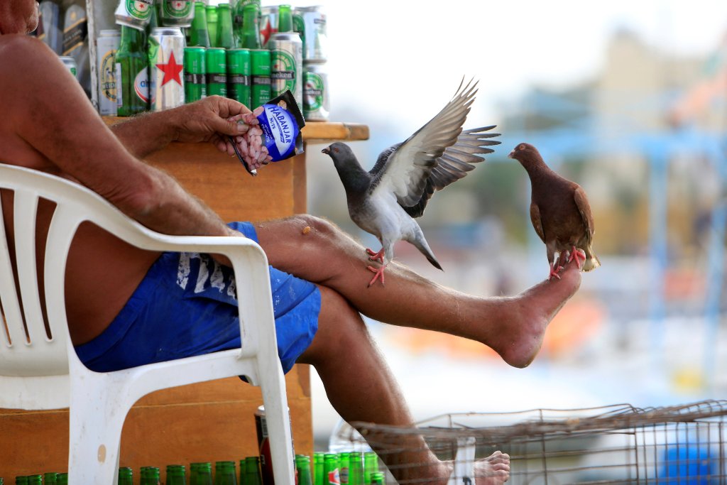 A man feeding pigeons perched on his leg at Tyre port.