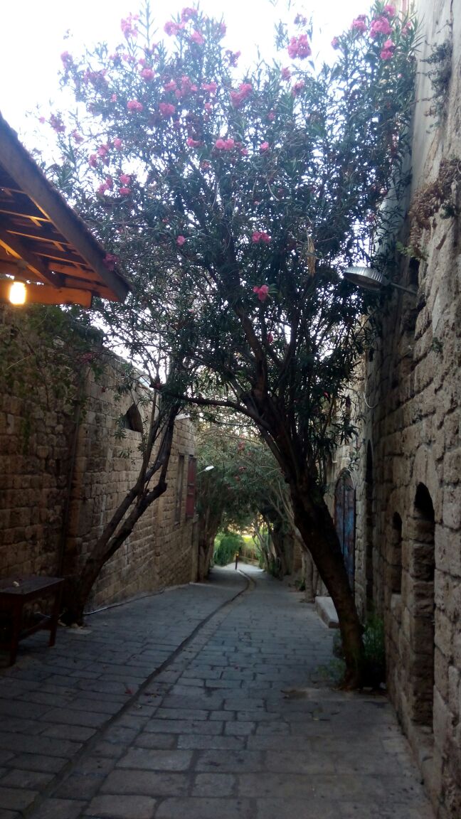 A morning walk in Byblos