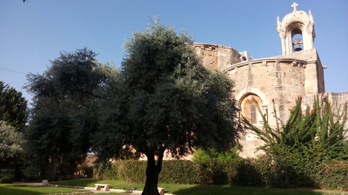 A morning walk in Byblos