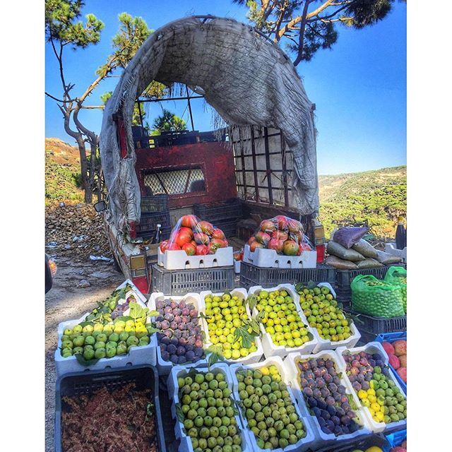 A much needed pit stop on every road trip 🍏🍎🍐🍊🍋🍌🍉🍇🍓🍈🍒🍑🍍🍅🍆🌶🌽 (Nabeh El Safa)