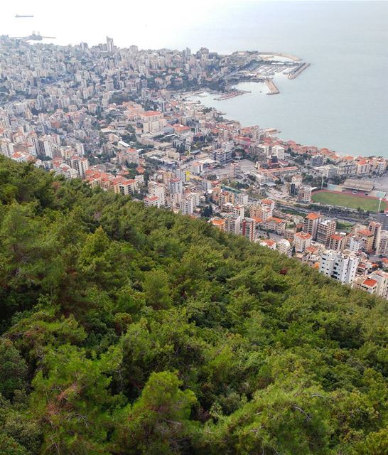 A peaceful Sunday afternoon 🙏 (The Lady of Lebanon - Harissa)