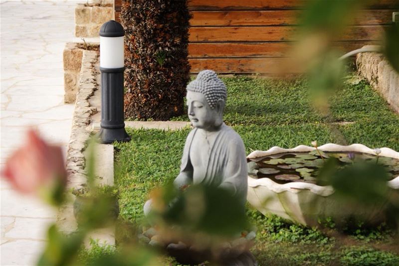 a peek into a meditative garden 🌸 (Byblos - Jbeil)