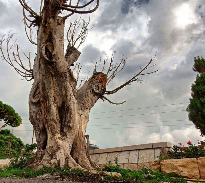 A people without the knowledge of their past history, origin and culture... (Byblos, Jbeil)