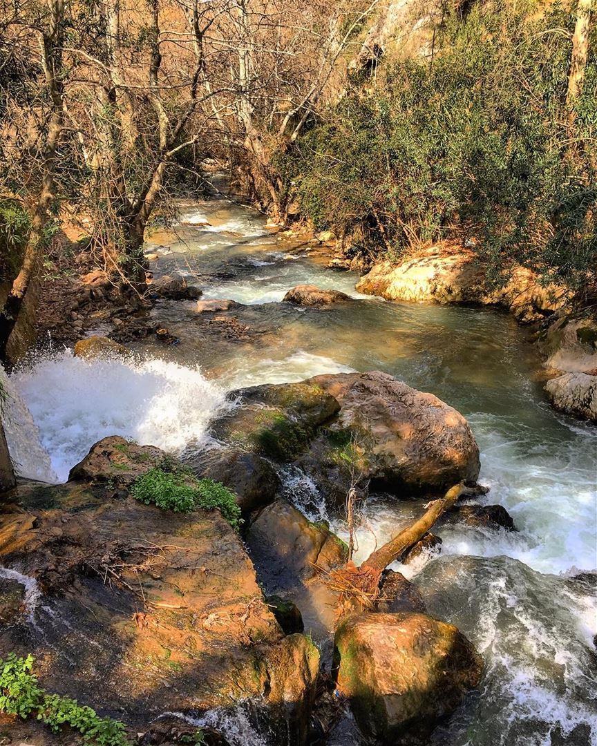 A River cuts through rock, not because of it's power, but because of its... (Hamatoura Monastery)