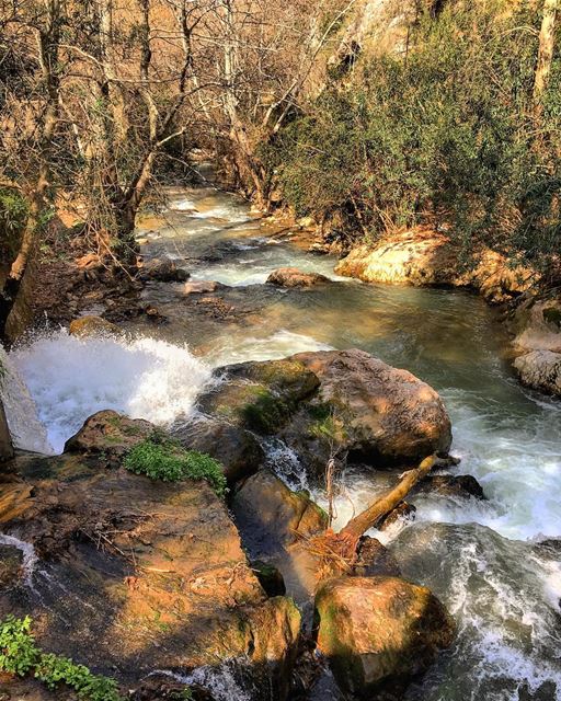 A River cuts through rock, not because of it's power, but because of its... (Hamatoura Monastery)