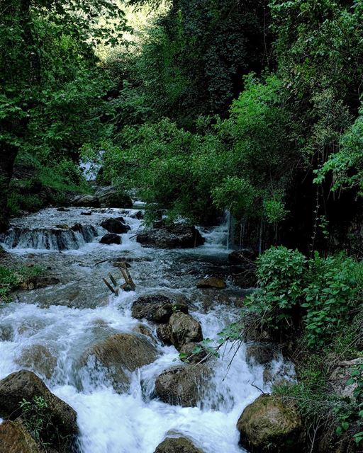 A River Runs Through It. Or rather, dozens of rivers. From roughly... (El Qemmâmîne, Liban-Nord, Lebanon)