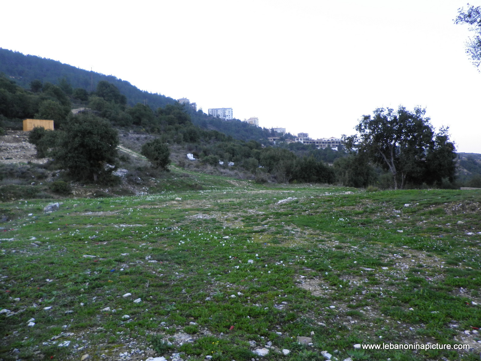 A Small Church in Safra