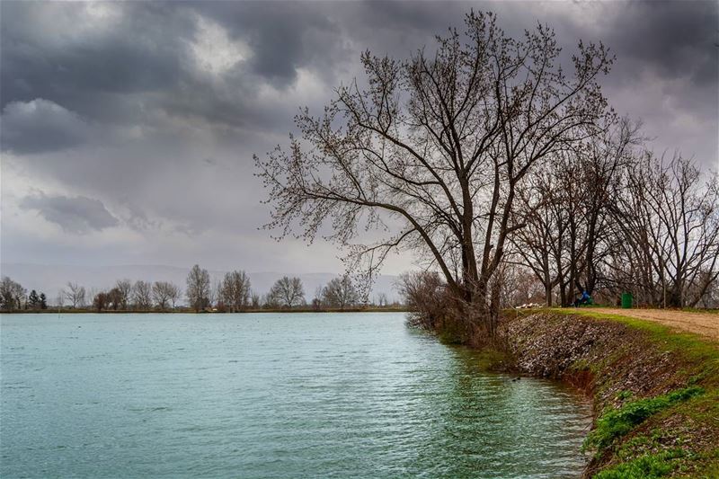 A stormy day | Taanayel, Bekaa LBTaken two days ago, the winter stills... (Taanayel Lake)