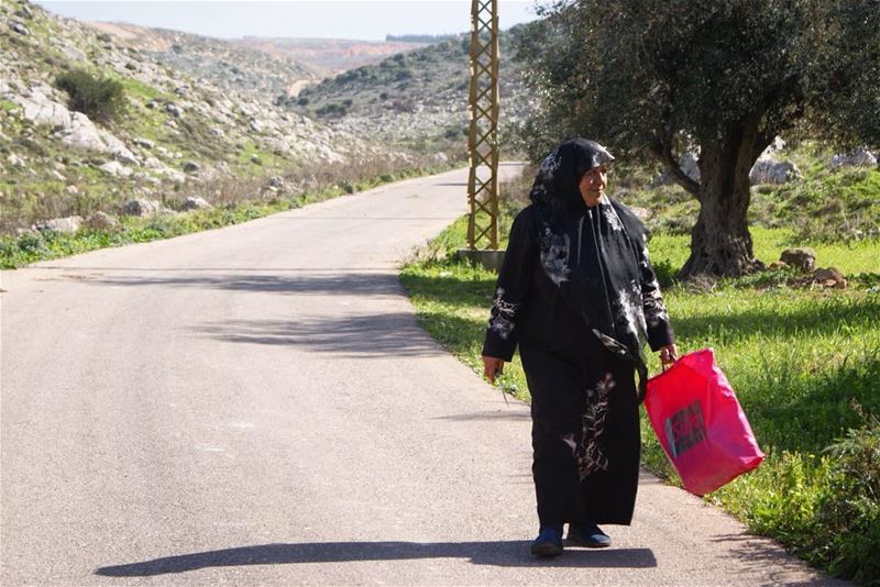 a villager's morning... (South Governorate)